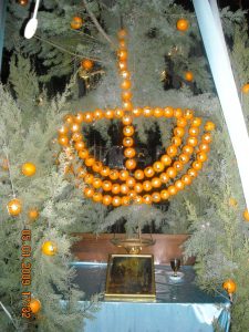 Δένδρο-με-πορτοκάλια-Άγιος-Γεώργιος-Ασβεστοχωρίου