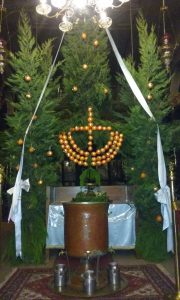 Κυπαρίσσι-με-πορτοκάλια-Άγιος-Γεώργιος-Ασβεστοχωρίου